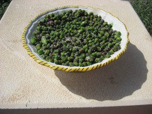 capers in salt
